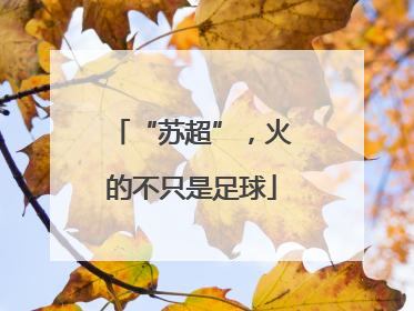 “苏超”，火的不只是足球