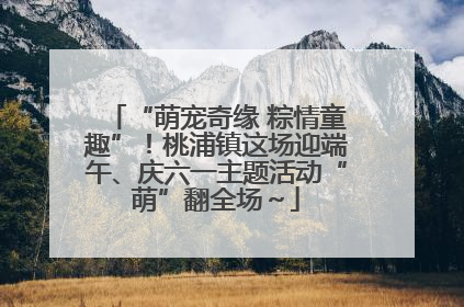 “萌宠奇缘 粽情童趣”！桃浦镇这场迎端午、庆六一主题活动“萌”翻全场～