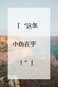 “这条小鱼在乎！”