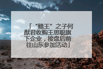“赌王”之子何猷君收购王思聪旗下企业，接盘后前往山东参加活动