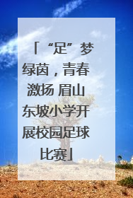 “足”梦绿茵，青春激扬 眉山东坡小学开展校园足球比赛