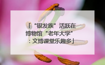 “银发族”活跃在博物馆“老年大学”：文博课堂乐趣多