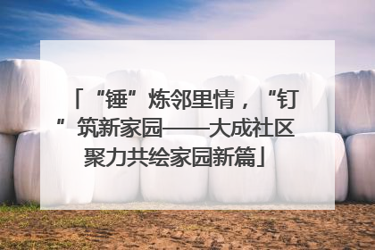 “锤”炼邻里情，“钉”筑新家园——大成社区聚力共绘家园新篇