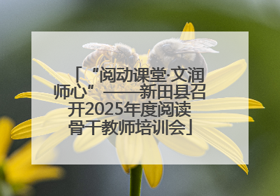 “阅动课堂·文润师心”——新田县召开2025年度阅读骨干教师培训会