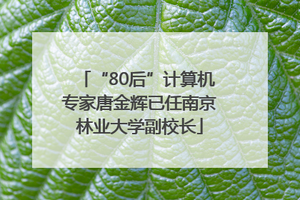 “80后”计算机专家唐金辉已任南京林业大学副校长