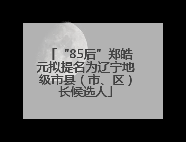 “85后”郑皓元拟提名为辽宁地级市县（市、区）长候选人
