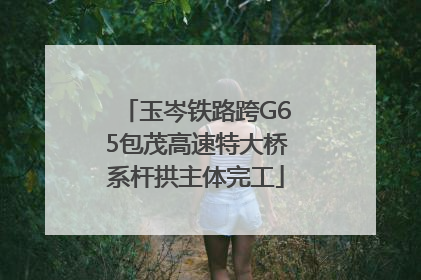 玉岑铁路跨G65包茂高速特大桥系杆拱主体完工