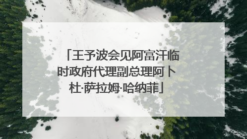 王予波会见阿富汗临时政府代理副总理阿卜杜·萨拉姆·哈纳菲