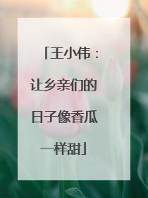王小伟：让乡亲们的日子像香瓜一样甜