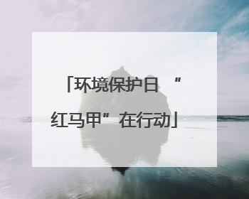 环境保护日 “红马甲”在行动