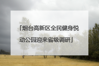 烟台高新区全民健身悦动公园迎来省级调研