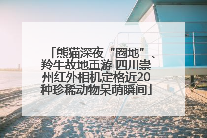 熊猫深夜“圈地”、羚牛故地重游 四川崇州红外相机定格近20种珍稀动物呆萌瞬间