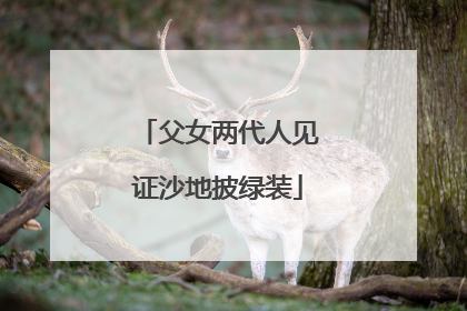 父女两代人见证沙地披绿装