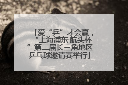 爱“乒”才会赢，“上海浦东·航头杯”第二届长三角地区乒乓球邀请赛举行