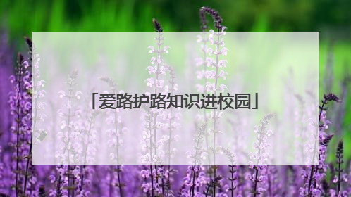 爱路护路知识进校园