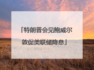 特朗普会见鲍威尔 敦促美联储降息