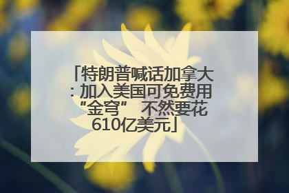 特朗普喊话加拿大：加入美国可免费用“金穹” 不然要花610亿美元