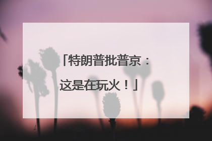特朗普批普京：这是在玩火！