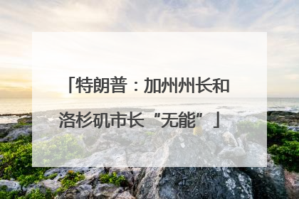 特朗普：加州州长和洛杉矶市长“无能”