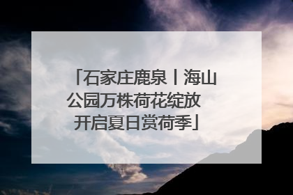 石家庄鹿泉丨海山公园万株荷花绽放 开启夏日赏荷季