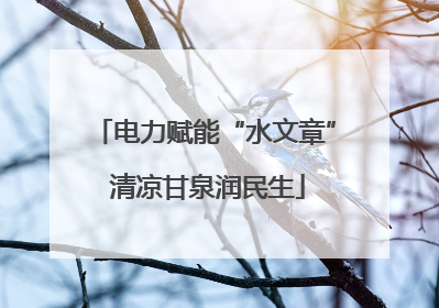 电力赋能“水文章” 清凉甘泉润民生