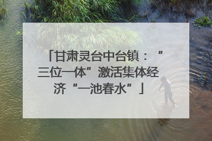 甘肃灵台中台镇：“三位一体”激活集体经济“一池春水”