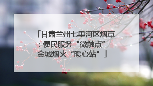 甘肃兰州七里河区烟草：便民服务“微触点” 金城烟火“暖心站”