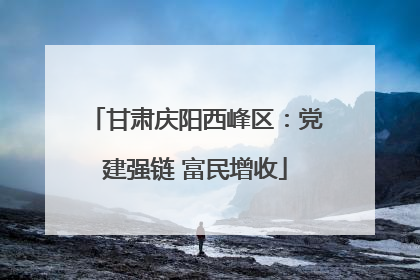 甘肃庆阳西峰区：党建强链 富民增收