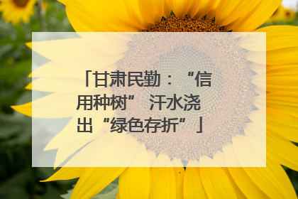 甘肃民勤：“信用种树” 汗水浇出“绿色存折”