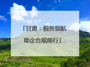 甘肃：税务领航 助企合规前行