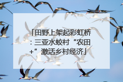 田野上架起彩虹桥：三亚水蛟村“农田+”激活乡村经济