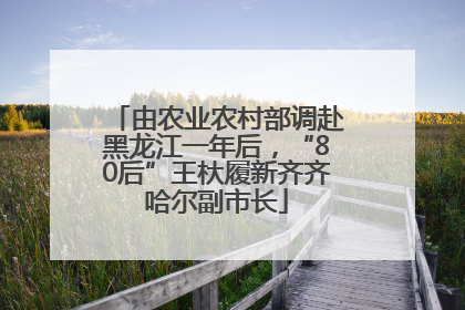 由农业农村部调赴黑龙江一年后，“80后”王杕履新齐齐哈尔副市长