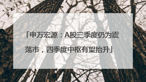 申万宏源：A股三季度仍为震荡市，四季度中枢有望抬升
