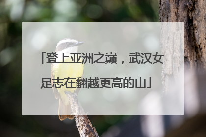 登上亚洲之巅，武汉女足志在翻越更高的山
