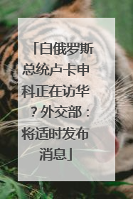 白俄罗斯总统卢卡申科正在访华？外交部：将适时发布消息