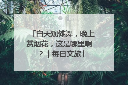 白天观傩舞，晚上赏烟花，这是哪里啊？｜每日文旅