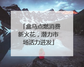 盒马点燃消费新火花，潜力市场活力迸发
