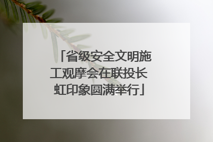 省级安全文明施工观摩会在联投长虹印象圆满举行
