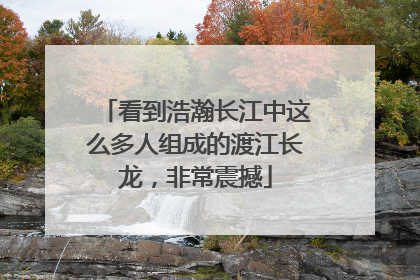看到浩瀚长江中这么多人组成的渡江长龙，非常震撼