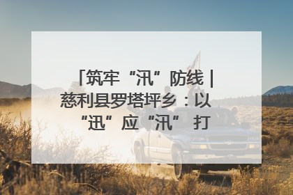筑牢“汛”防线｜慈利县罗塔坪乡：以“迅”应“汛” 打赢暴雨防御战