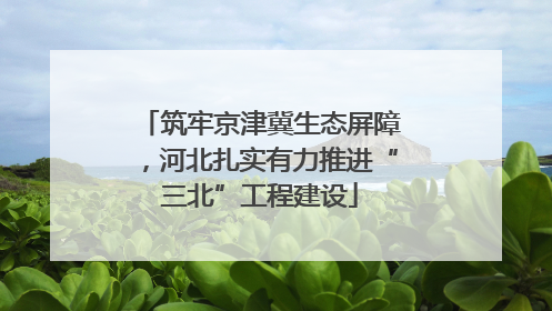 筑牢京津冀生态屏障，河北扎实有力推进“三北”工程建设