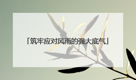 筑牢应对风雨的强大底气