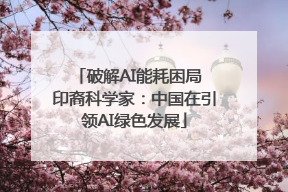 破解AI能耗困局 印裔科学家：中国在引领AI绿色发展