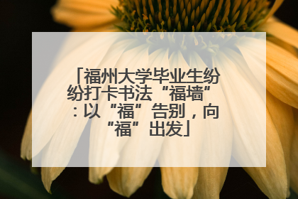福州大学毕业生纷纷打卡书法“福墙”：以“福”告别，向“福”出发