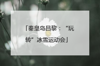 秦皇岛昌黎：“玩转”冰雪运动会
