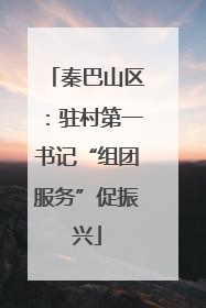 秦巴山区：驻村第一书记“组团服务”促振兴