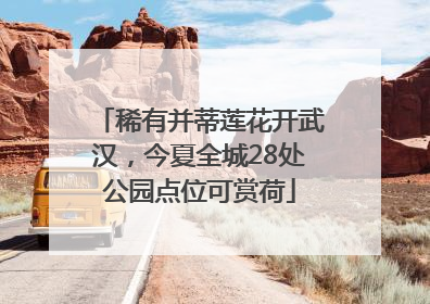 稀有并蒂莲花开武汉，今夏全城28处公园点位可赏荷