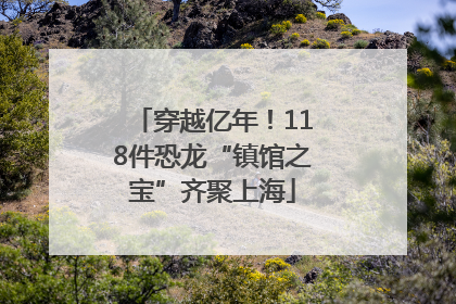 穿越亿年！118件恐龙“镇馆之宝”齐聚上海