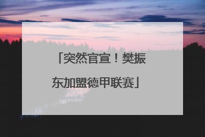 突然官宣！樊振东加盟德甲联赛