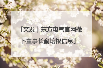 突发｜东方电气官网撤下董事长俞培根信息